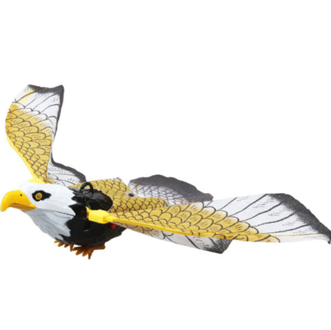 Bird Cat Interactive Toys