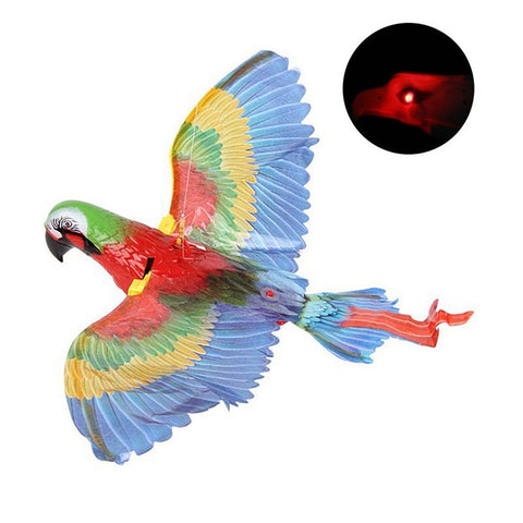 Bird Cat Interactive Toys