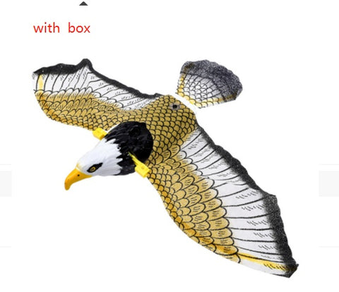 Bird Cat Interactive Toys