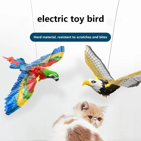 Bird Cat Interactive Toys