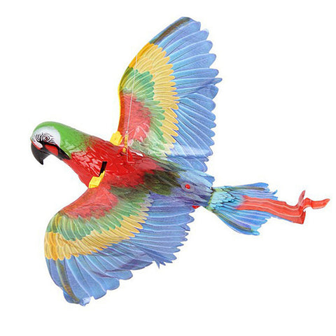Bird Cat Interactive Toys